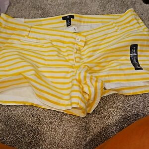 Gap Shorts